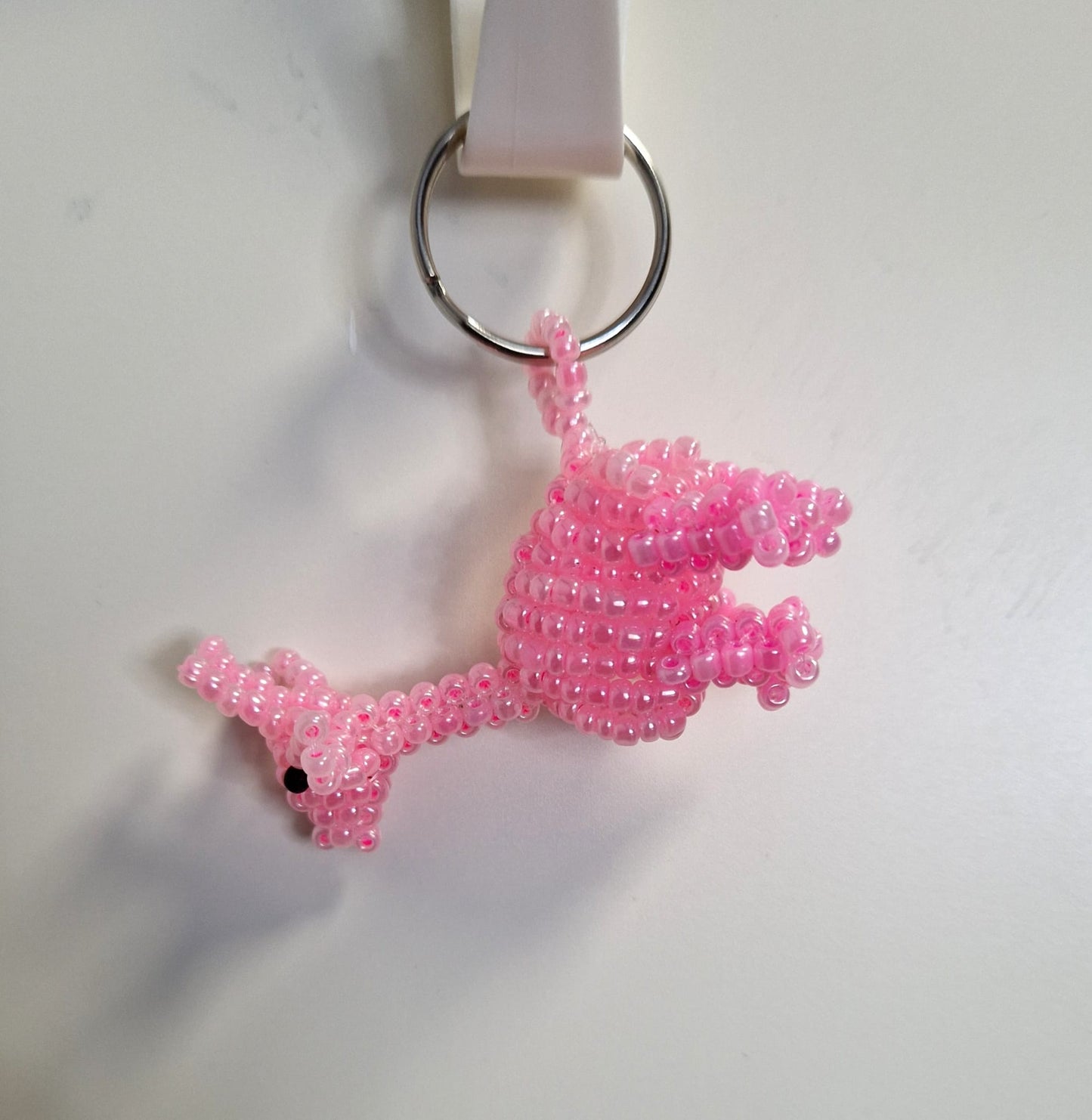 Twiga keyholder