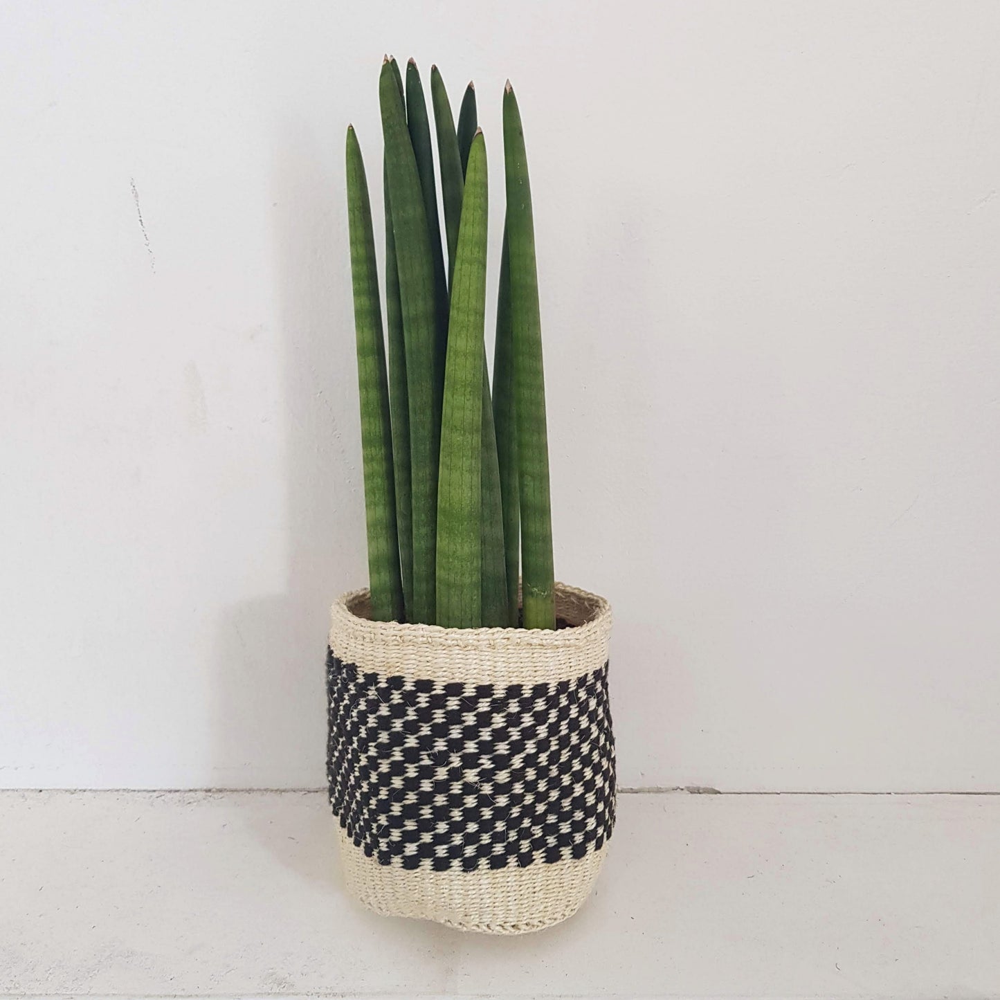 Planters